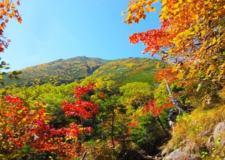 紅葉を関東で日帰りデートにおすすめなスポットは 埼玉編 快活info