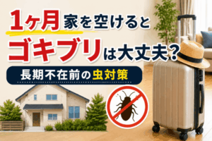 1ヶ月家を空けるとゴキブリは大丈夫?長期不在前にやる虫対策を解説