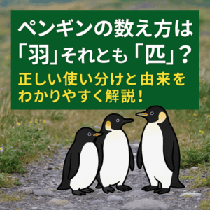 ペンギンの数え方は「羽」それとも「匹」?正しい使い分けと由来をわかりやすく解説!