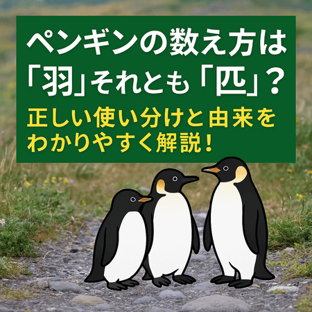 ペンギンの数え方は「羽」それとも「匹」？正しい使い分けと由来をわかりやすく解説！