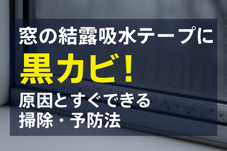 窓の結露吸水テープに黒カビ！原因とすぐできる掃除・予防法